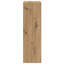 Vidaxl Hanging Cabinet With Storage Riga Old Wood 30 X 29.5 X 100 Cm-121217647-121217637