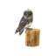 Sculpture en bois Bonneanne Owl