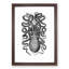 Octopus in Black and White by George Shaw - Picture Frame Drawing Print-55577091-55577086