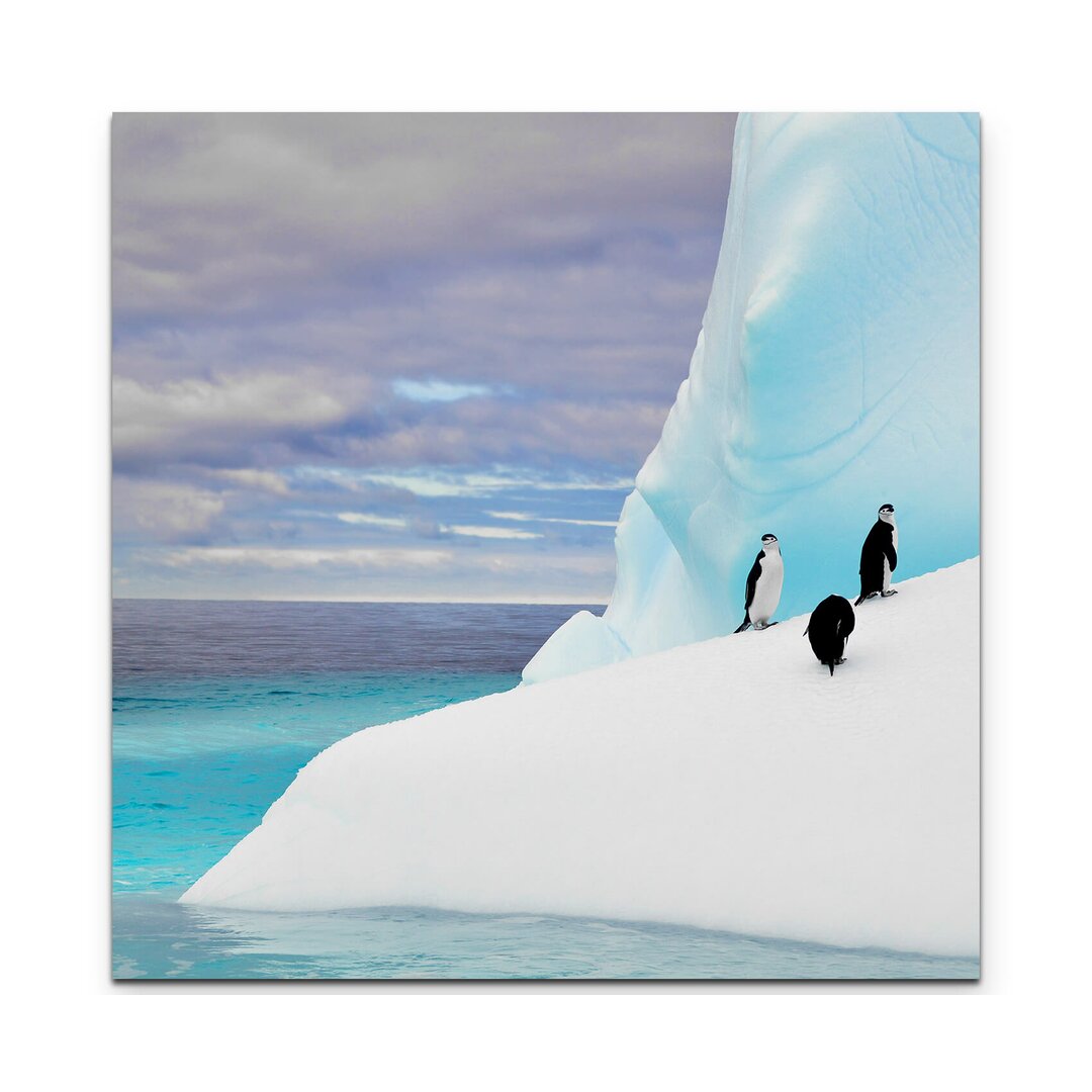 Leinwandbild Pinguine