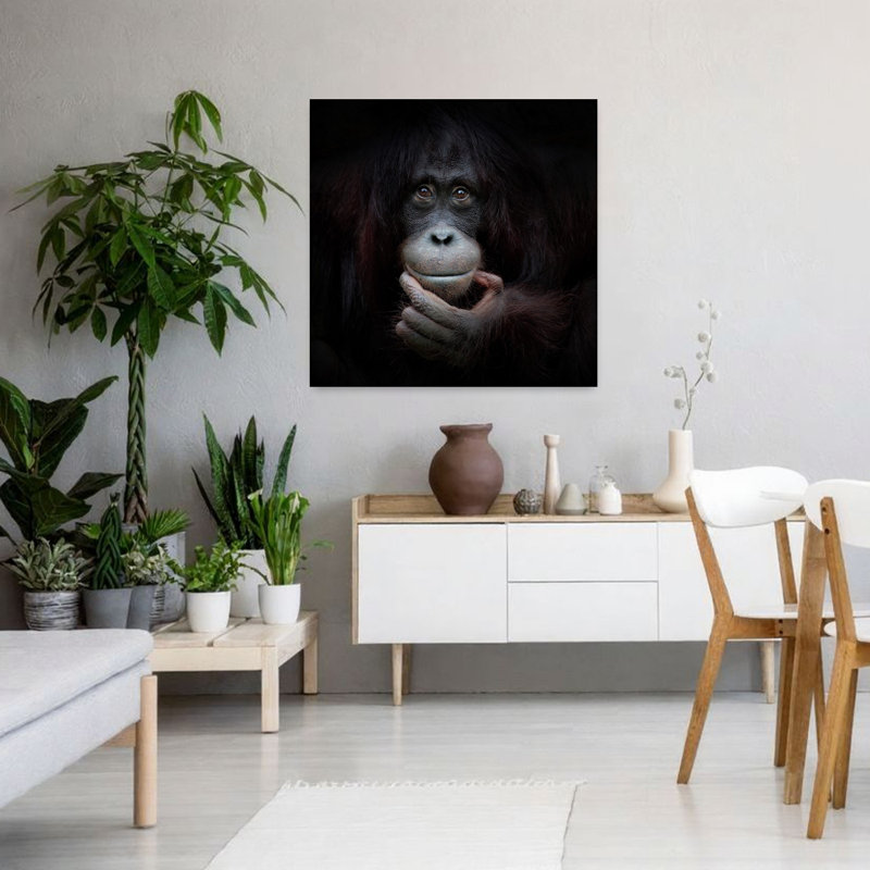 Art contemporain singe contemporain, H 36 po x l 36 po