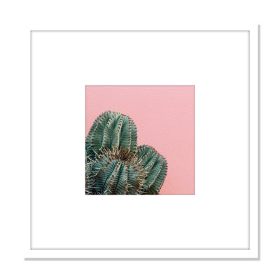 Prickly Pink IV, impression numérique sur toile encadrée 22 po x 22 po