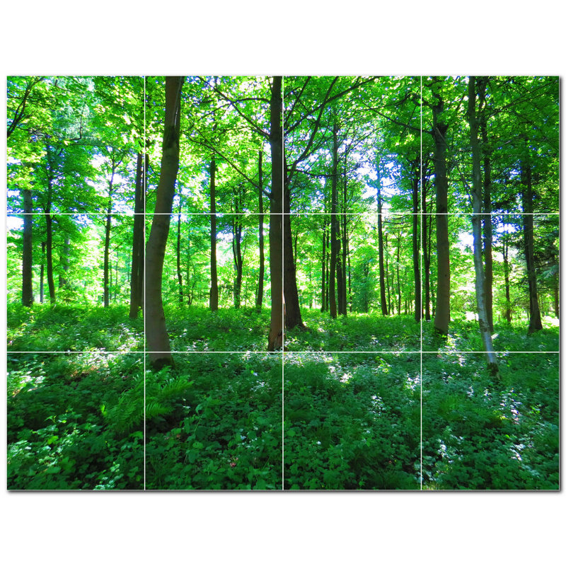 Trees Photo Decorative Mural