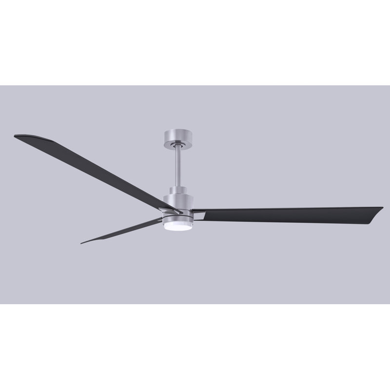 Ventilateur de plafond Alessandra, Noir mat, Nickel brossé, 72"