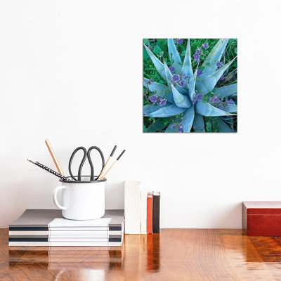 Bluebell And Agave, North America II by Tim Fitzharris - Wrapped Canvas Print