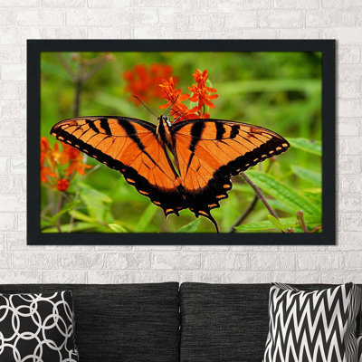 «Metallic Butterfly», reproduction de photo