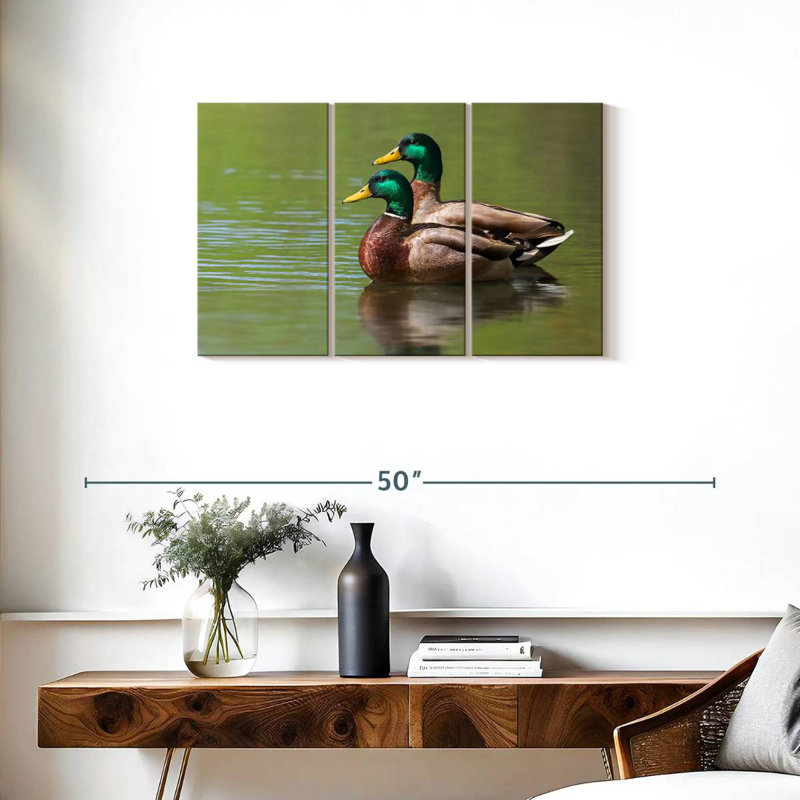 Coupe de canards colvert, H 20 po x l 33 po