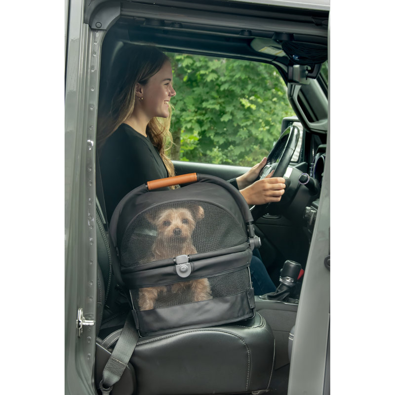 Small Black Soft Sided Pet Carrier and Car Seat