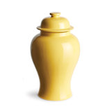 Ricki Handcrafted Ginger Jar