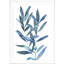 Reproduction d'art encadrée, «Indigo Leaves III»-1571337423-1526839489