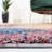 Arax Performance Abstract Rug-466323317