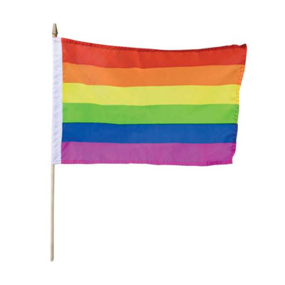 Pride Stick Polyester House Flag