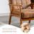 Accent Chair, Mid-century Modern Armchair With Solid Wood Frame,Armchair For Living Room, Bedroom-Coffee-1774323596