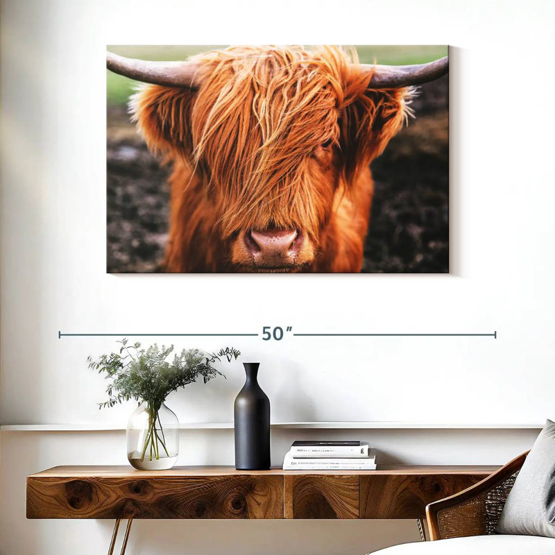 Brampt Highland Cow Fringe, 26" H x 39" W