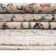 Alkire Floral Indoor Rug
