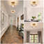 2 Pack Chandelier-1106441034