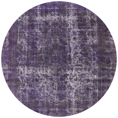 Hubbert Oriental Indoor Rug