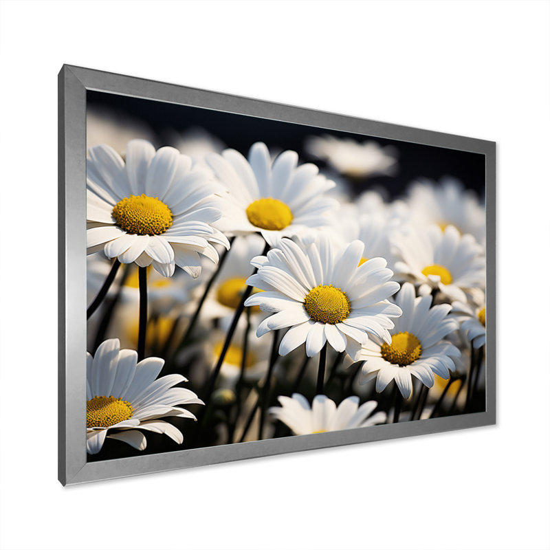 " Daisies Field Sunrise I ", Silver Single Picture Framed, 30" H x 40" W x 1.5" D