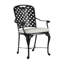 Provance Patio Dining Armchair with Cushion-83260217-83260218-83260228