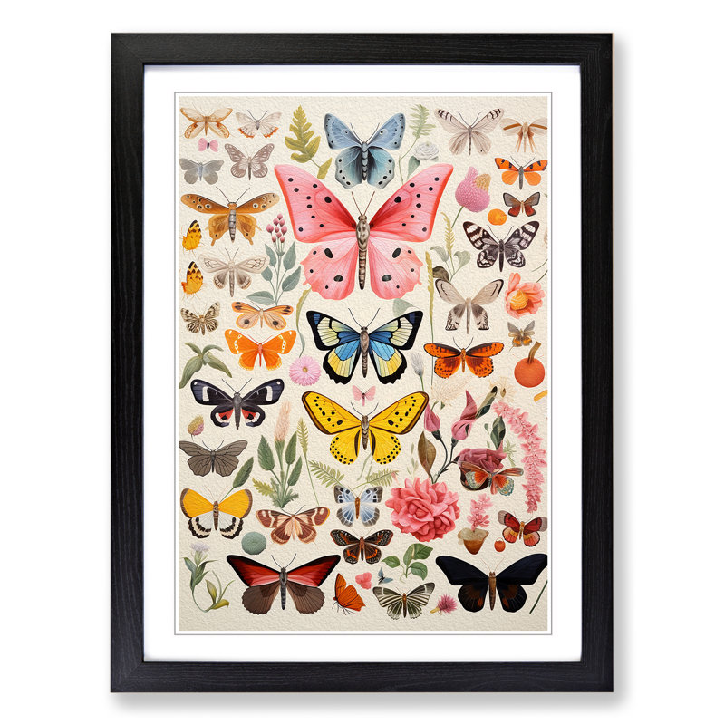 XYZ-FRM-V1223-4554 Moth Colour Field - Single Picture Frame Print on Wood, 64cm H x 46cm W x 2cm D, Black 