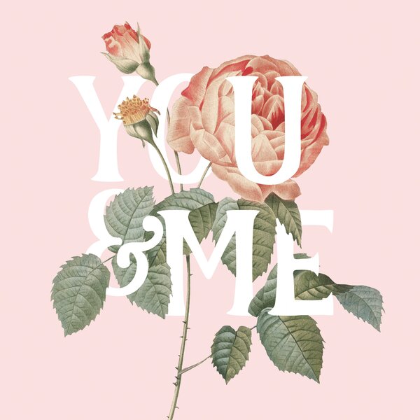 Trinx Botanical Pink Rose II You | Wayfair