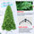 6Ft Christmas Tree-1550082838