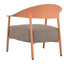 Holiday - Ensemble de chaises d'appoint modernes 2 pièces avec table basse - Ensemble de canapé en PP et à cadre en acier brun abricot, sièges rembourrés pour le salon, le salon et le balcon (2 chaises + 1 table)-2010582030