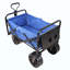 Chariot de plage pliable-123262905