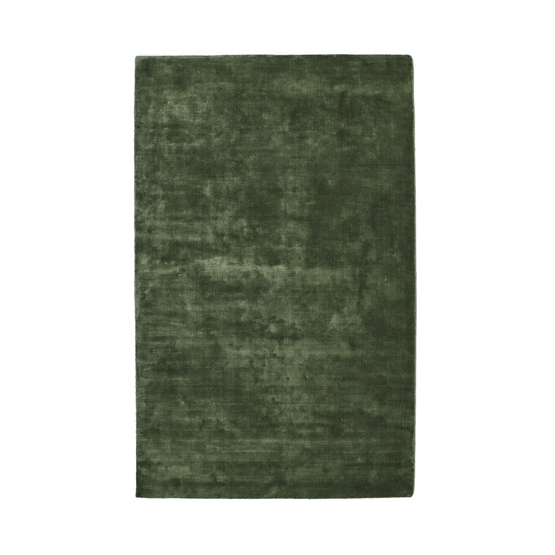 Laine Viscose Hand Woven Area Rug, Rectangle 160 x 230