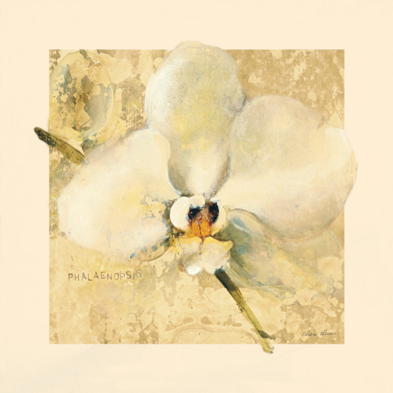«Exotic Floral III Crop» par Cheri Blum - reproduction, Cadre simple blanc, Non, H 30 po x l 30 po x P 1,25 po