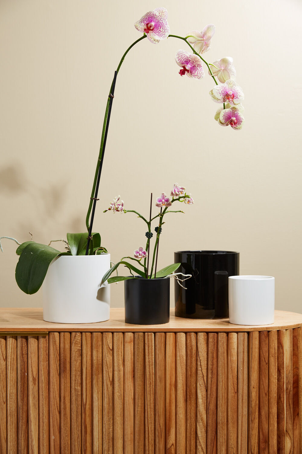 Ceramic Pot Planter, 6.25" H x 6.5" W x 6.5" D, White