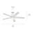 Brahm 48'' Ceiling Fan with LED Lights