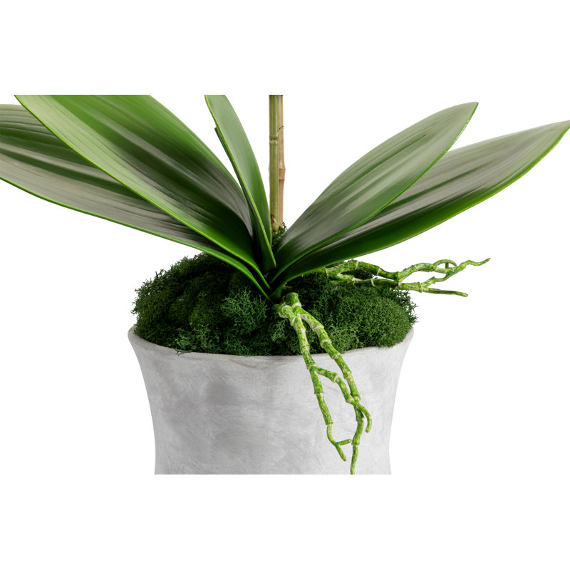 Clementine Realtouch Orchid Arrangement, Purple