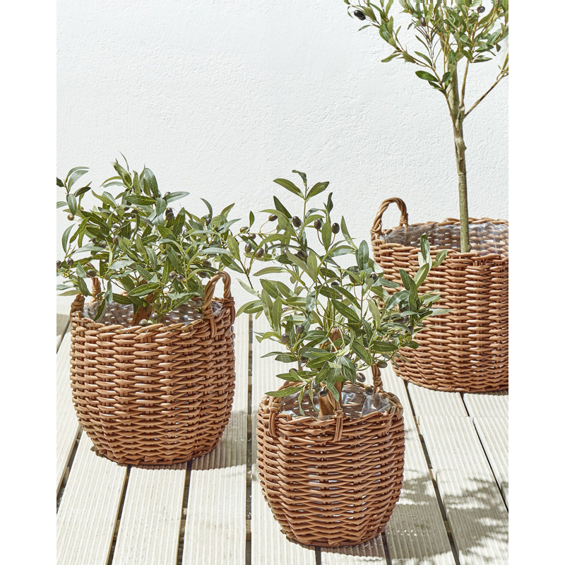 Amayas Handmade Pot Planter