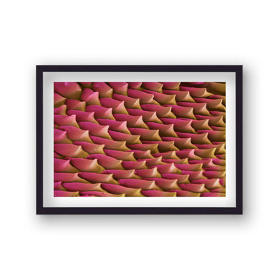 Cellular Beauty Art 11 Pink And Gold by Vouvart - Single Picture Frame Print