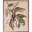 Botanical 1 By Nataly White-1763599593