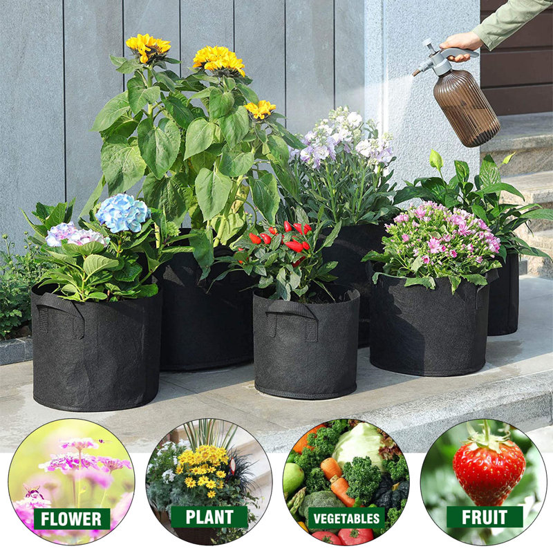 Tonecia Nursery Pot, 5.90" H x 7.08" W x 7.08" D