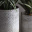 Albion Metal Planter-1418794918
