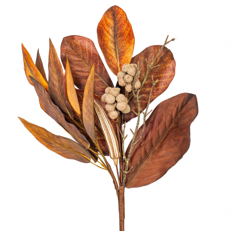  24 po de feuilles de magnolia brun. Il mesure 24 par 6 pouces. Il comprend 3 pièces par sac.