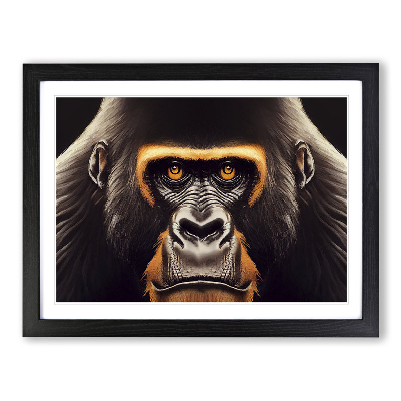 Captivating Gorilla - Framed Print, 34cm H x 46cm W x 2cm D, Black