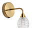 Steel Armed Sconce