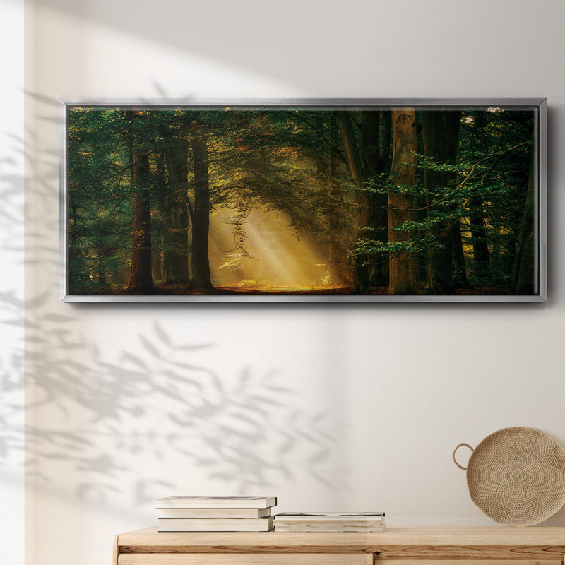 «Shine On», toile encadrée, H 12 po x l 30 po