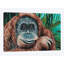 « jungle singe i », impression sur toile-32861924-72225146-72225148