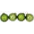 Vert kiwi est en rupture de stock