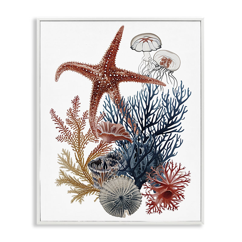 Giclée encadrée de créatures marines naturelles, par Ramona Murdock, H 20 po x l 16 po