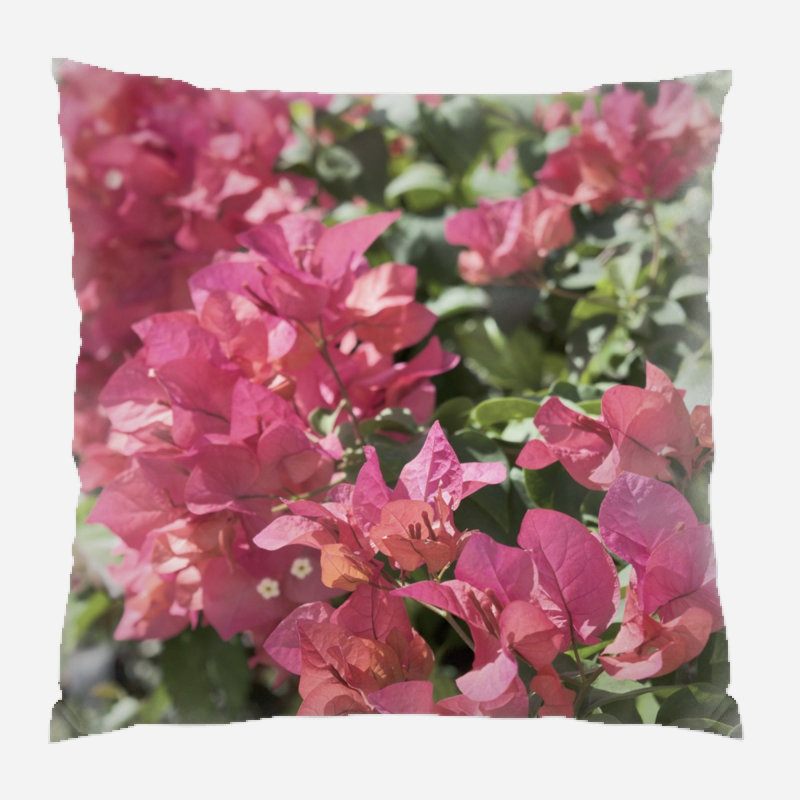 Coussin décoratif naturel Kearns, Microsuède, Intérieur