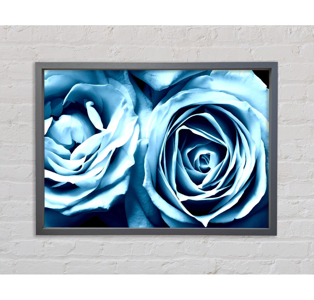 Gerahmtes Leinwandbild Twin Blue Roses