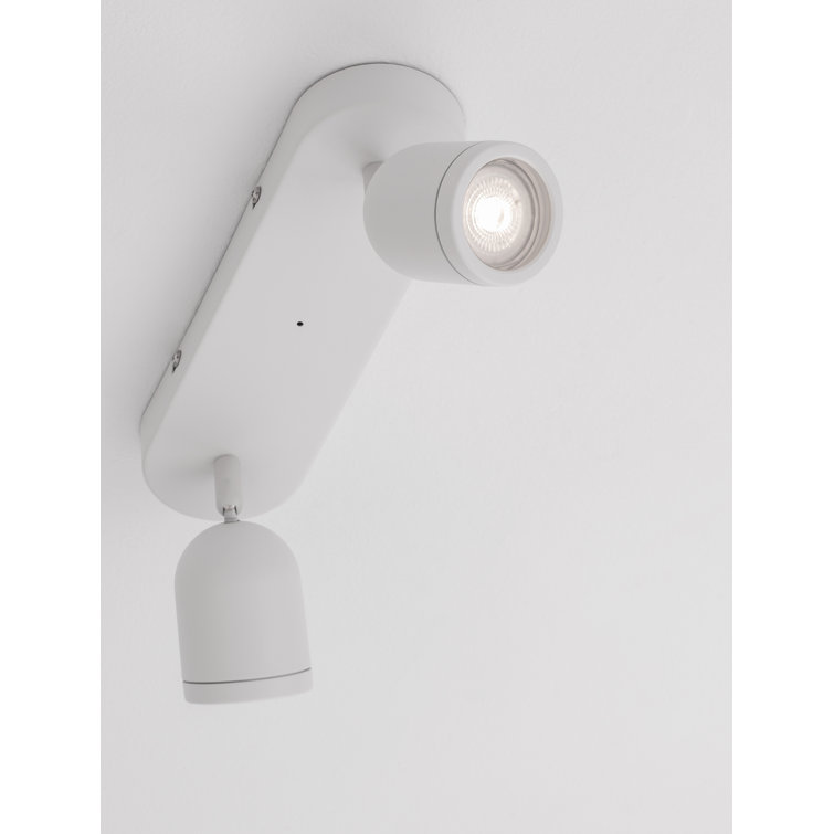 Delidle Spotlight