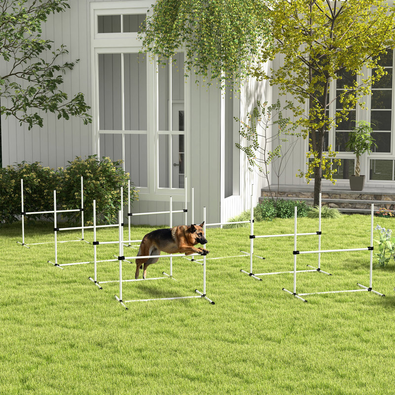 Ensemble de 8 cordes pour chien