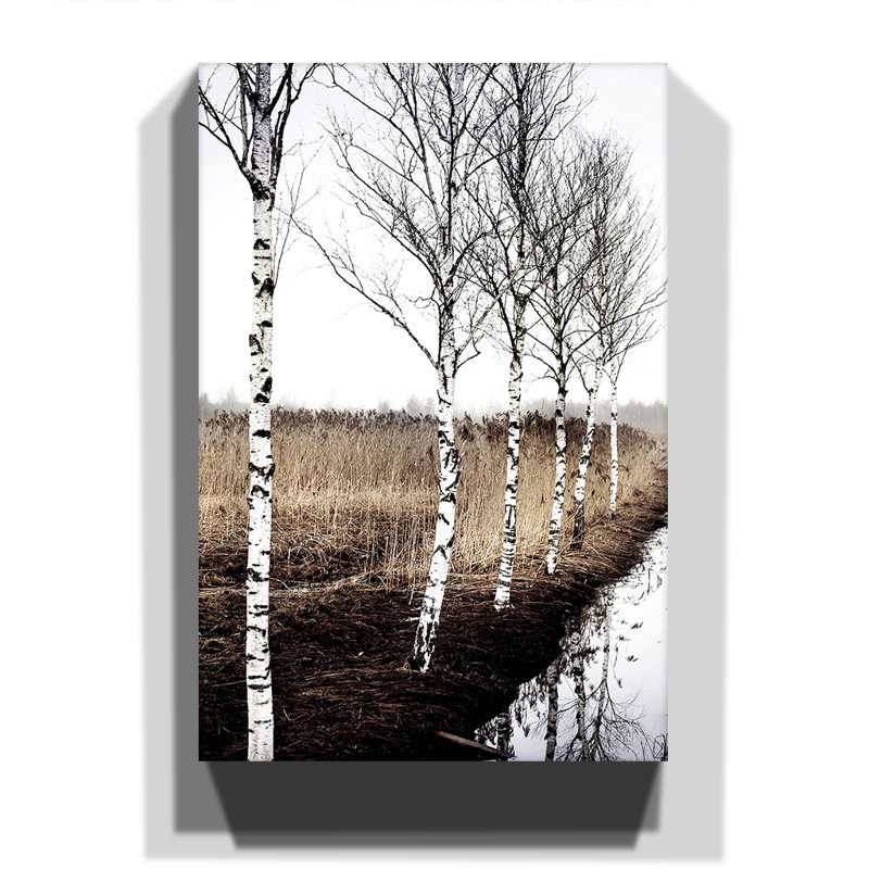 Wrapped Canvas Print, 76cm H x 50cm W